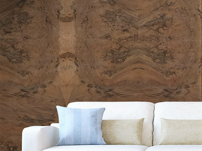 Tips to Work With Decorative Veneers For Interior Walls