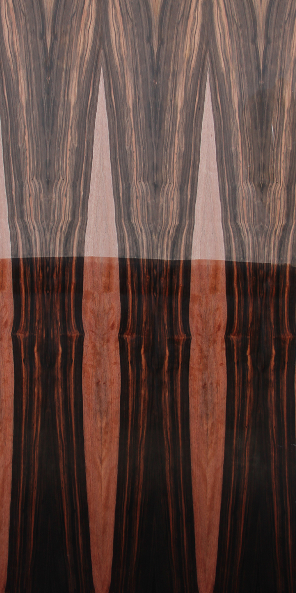 Natural Ebony Wood Veneer by Decowood