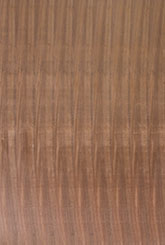 Decowood noirwood radiant grainless Wood Veneers
