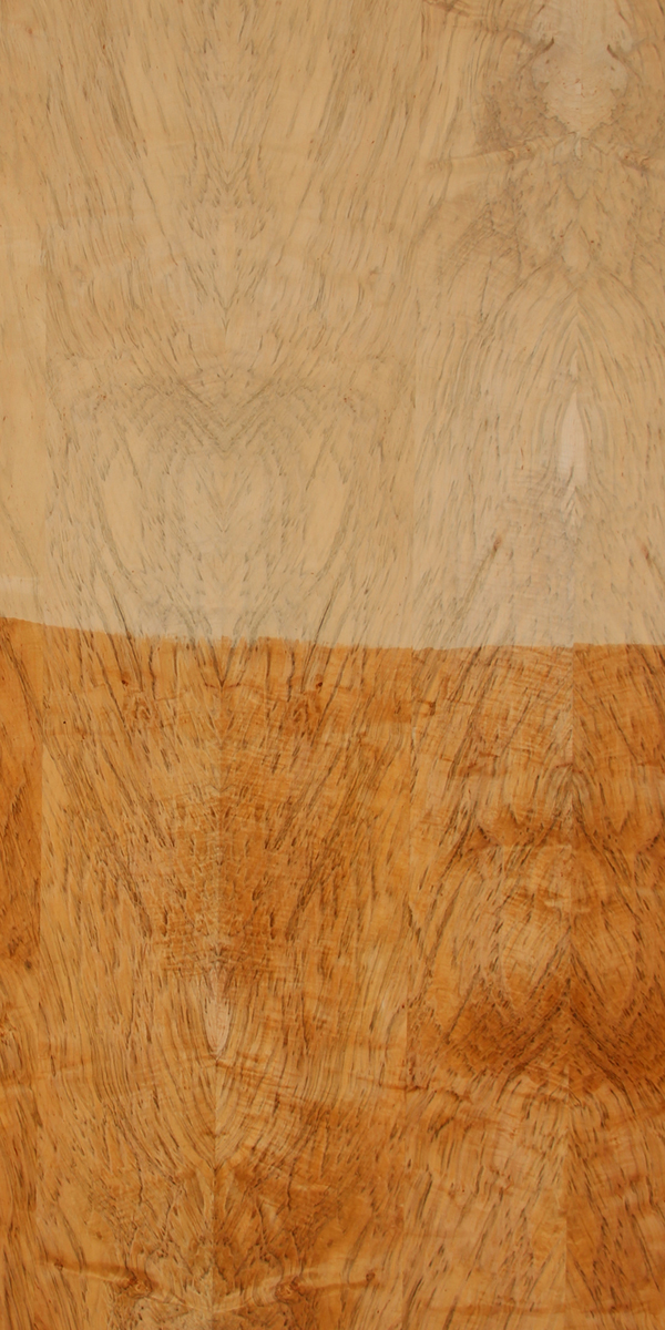 Natural Organic Maple Wood Veneer by Decowood